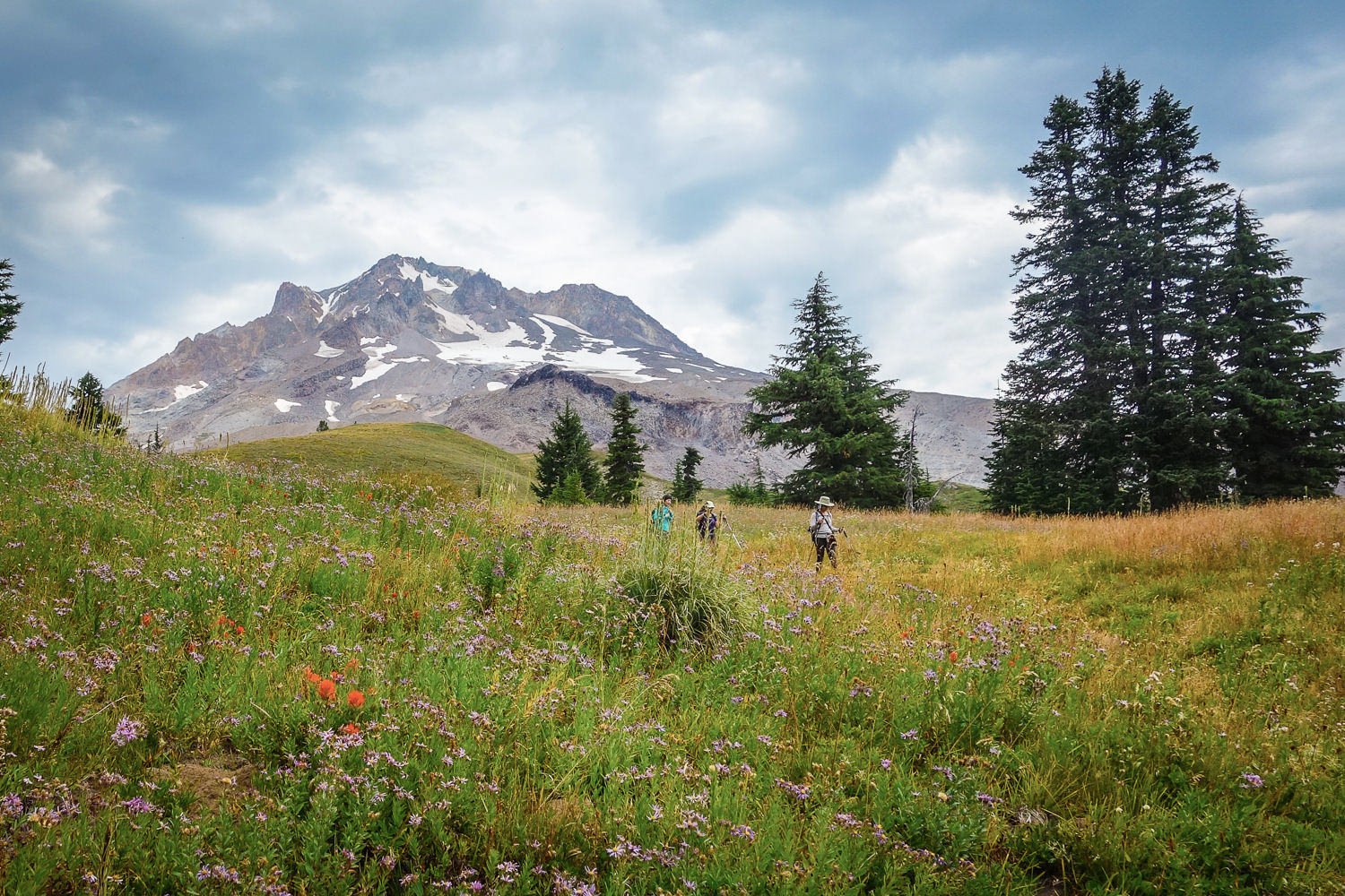 Timberline Trail Backpacking Guide | CleverHiker